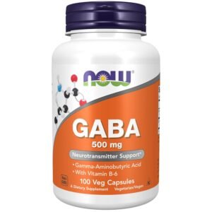 NOW Foods GABA with Vitamin B-6, 500 mg, 100 Veg Capsules