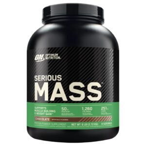 Optimum Nutrition Serious Mass – 6 lbs